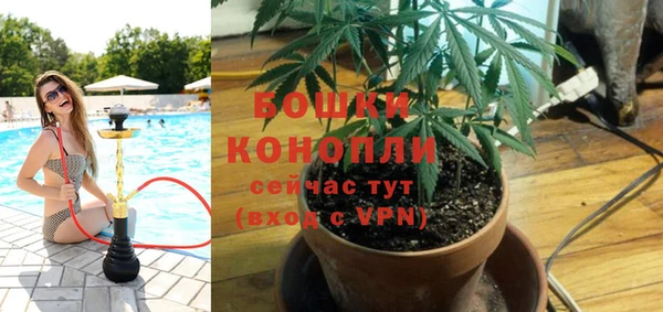 ALPHA-PVP Гусев