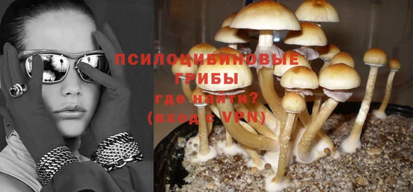 твердый Гусь-Хрустальный
