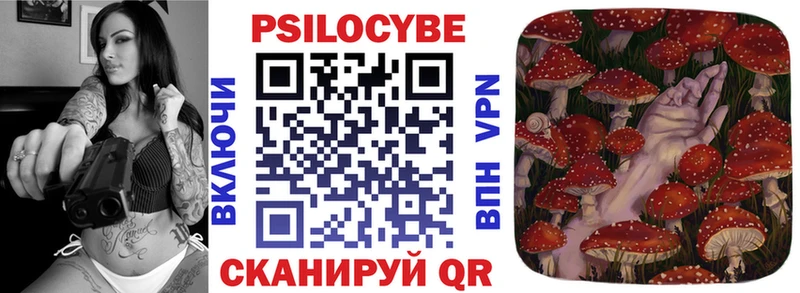 где купить   Новомосковск  Псилоцибиновые грибы мухоморы 